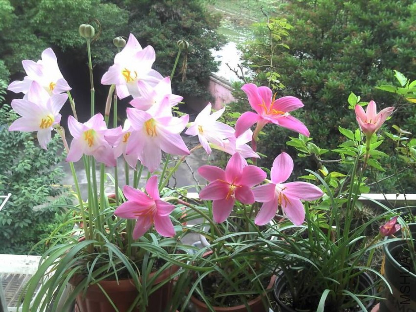 QQͼƬ20150411190226.jpg