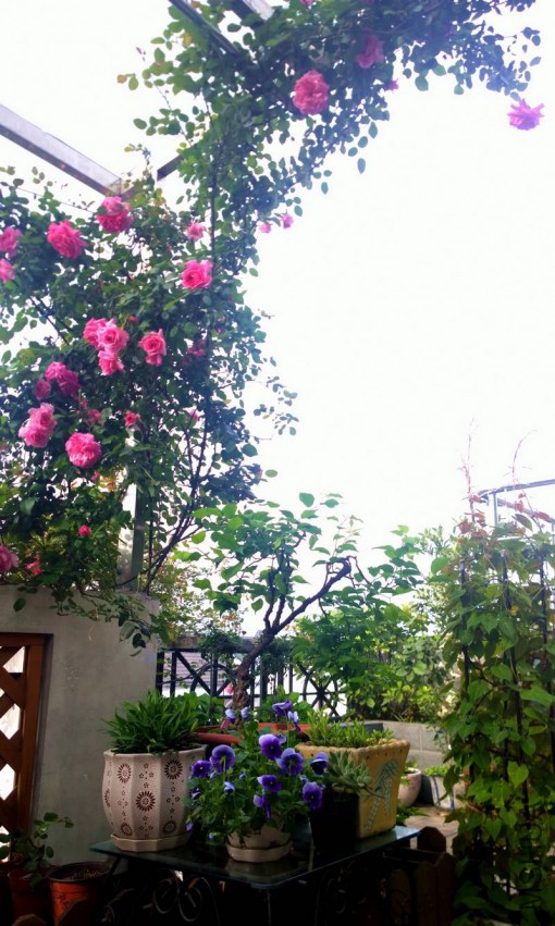 WP_20150411_08_00_00_Pro__1.jpg