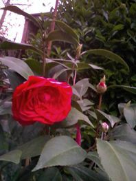 IMG_20150411_184116_����.jpg