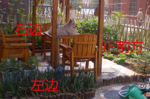 035024934.jpg.thumb_����.jpg