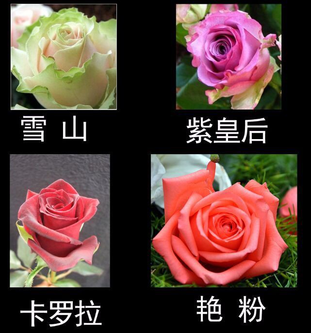 QQͼƬ20150409080100.jpg
