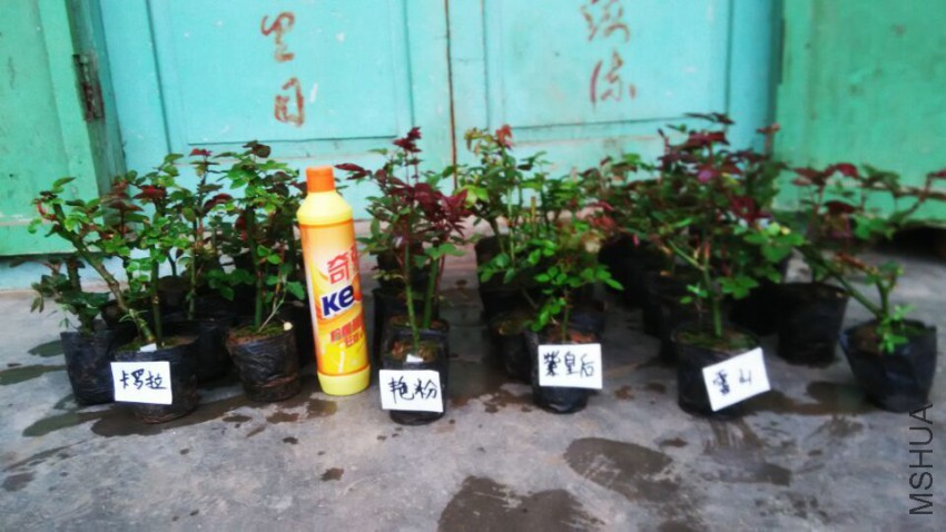 QQͼƬ20150412113136.jpg