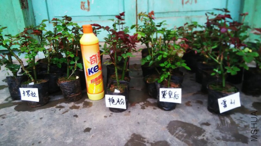 QQͼƬ20150412113145.jpg