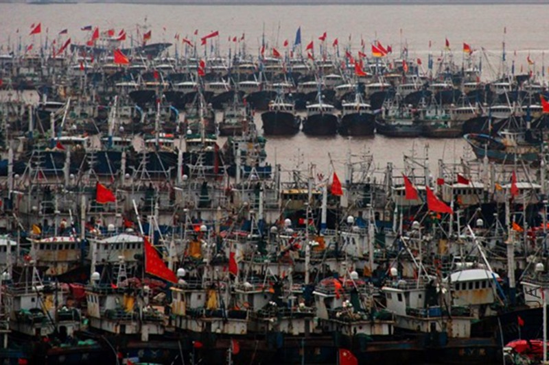 psb (22)_����.jpg