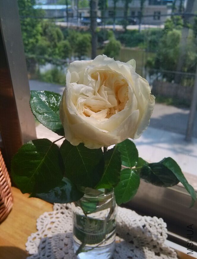 ����֮·.jpg