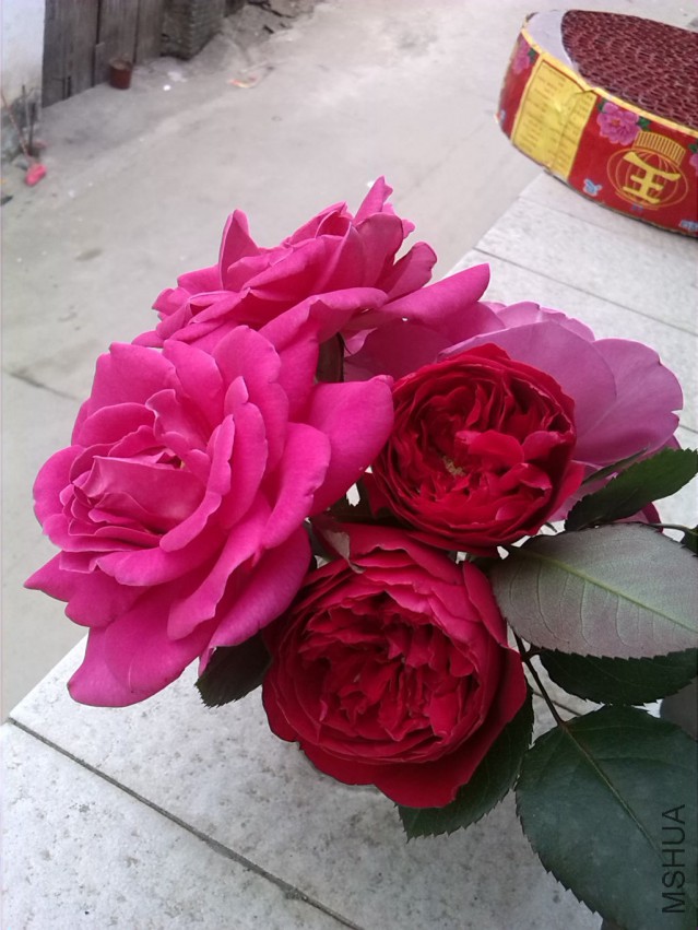 20150405ժ�Ļ���ˮ�忪��