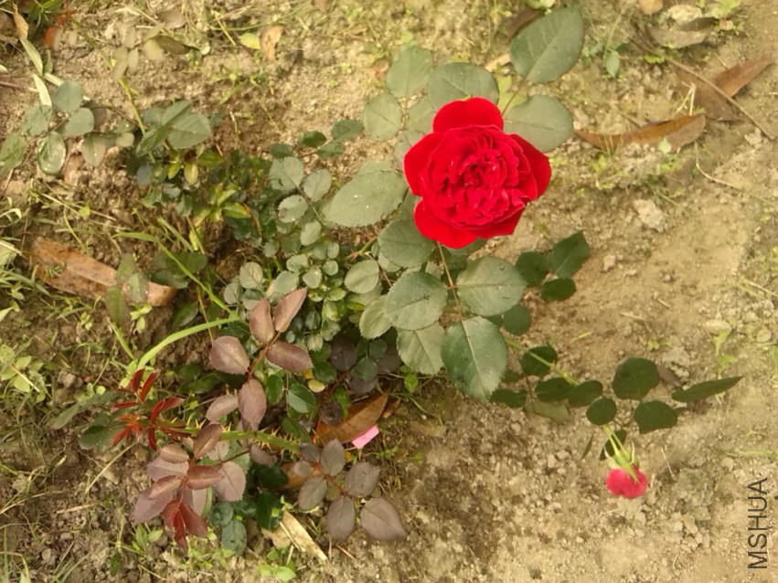 20150406��������