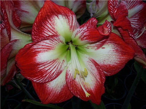 20150412_170632.jpg