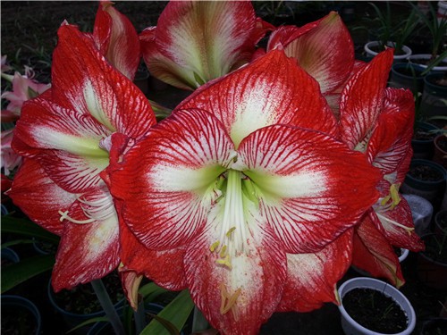20150412_170640.jpg