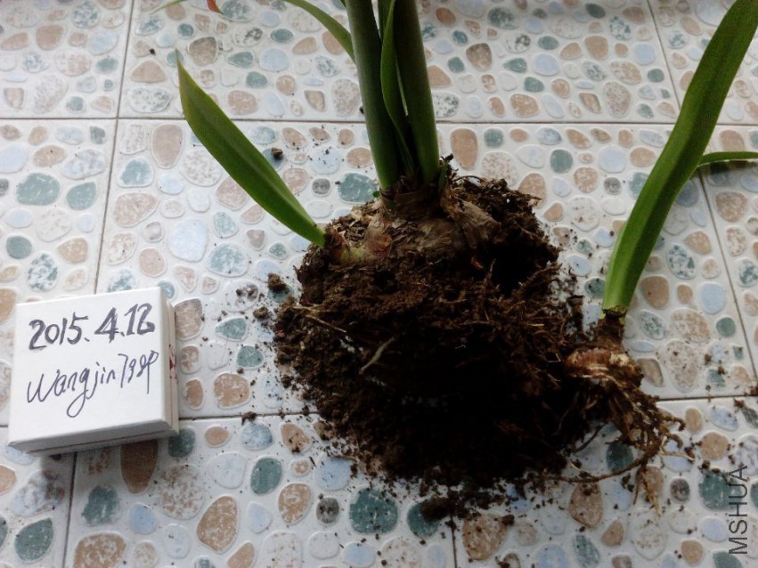 QQͼƬ20150412194437.jpg
