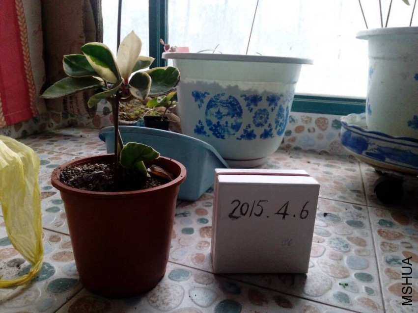212356brxjiy6cpicercri.jpg