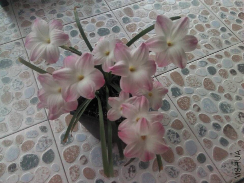 QQͼƬ20150411190219.jpg