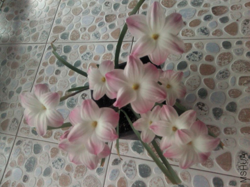 QQͼƬ20150412195749.jpg