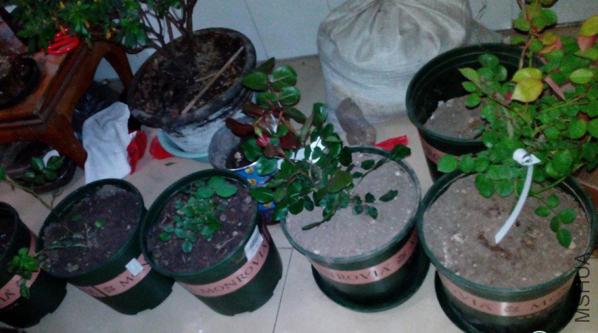 �����������������׼ҵ��磬�������ܣ��ұ��������Ǻ�Ҷ�ġ�