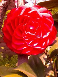 IMG_20150412_124339_����.jpg