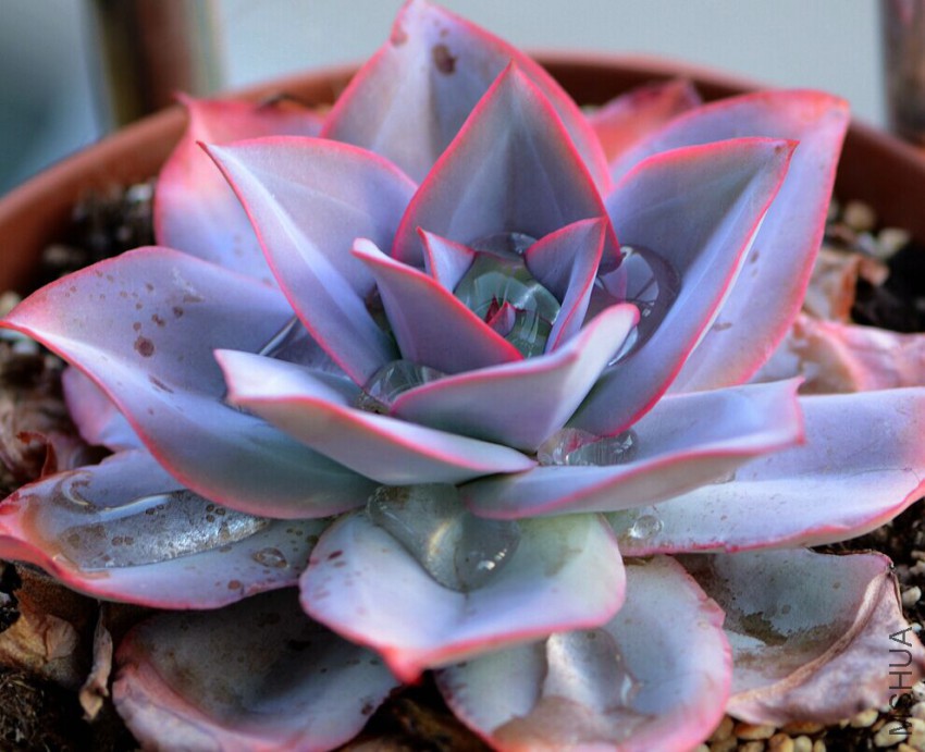 20150413125407.jpg