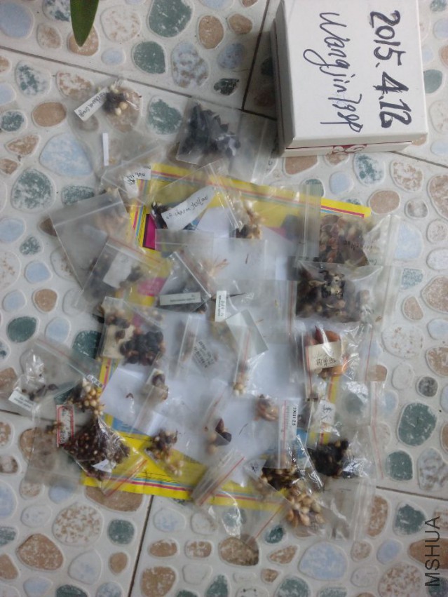 QQͼƬ20150413151300.jpg