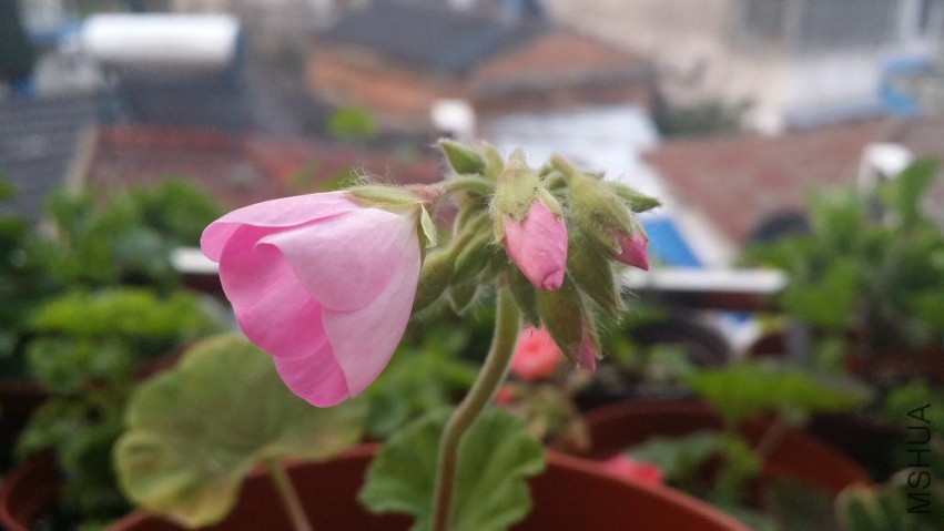 �ߴ���С�쾲���ĵĿ�