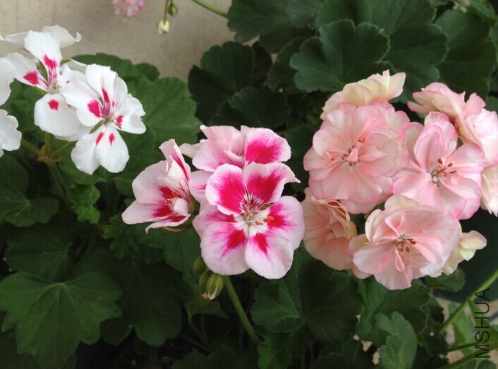 QQͼƬ20150410181300.jpg