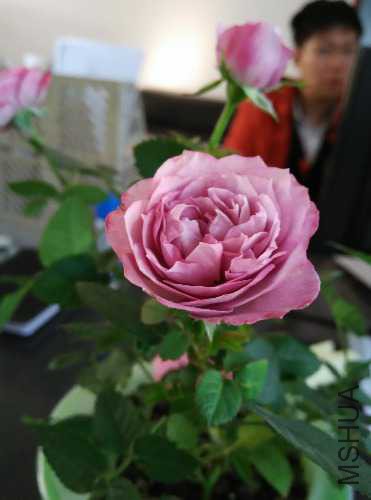IMG_20150413_172328.jpg