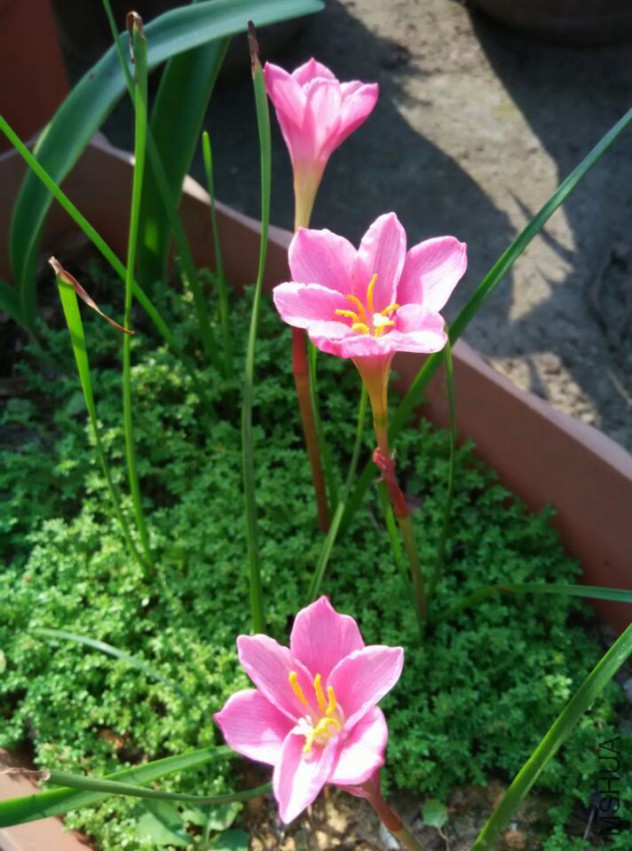 QQͼƬ20150413172605.jpg