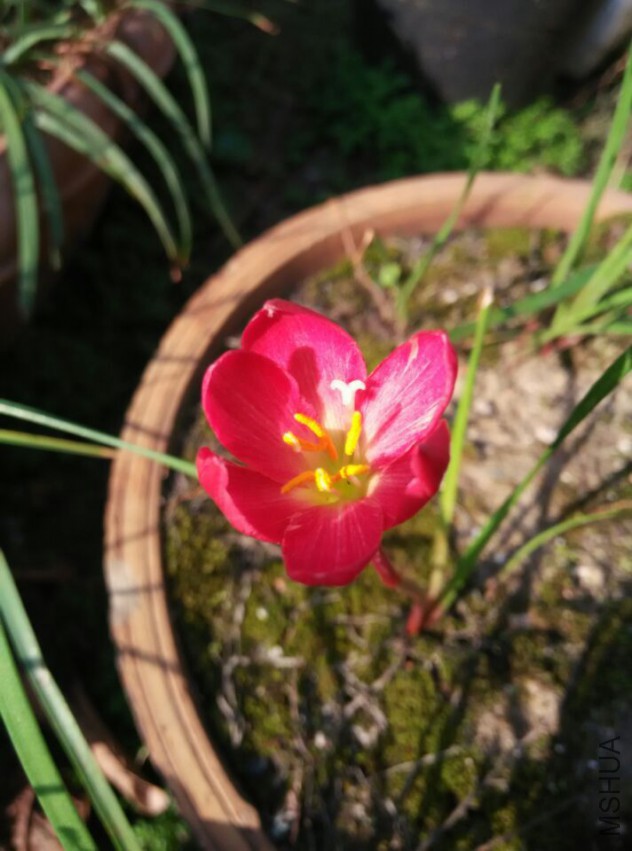 QQͼƬ20150413172547.jpg