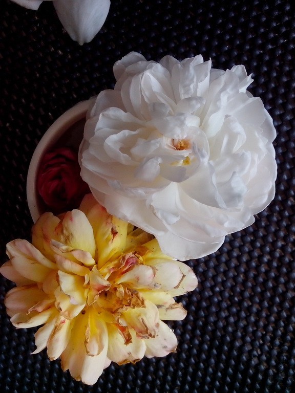 ����������~ �Ա߽����ƻ�����ħ��Ŧ��˹