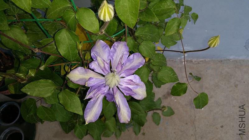 20150414_072042_����.jpg