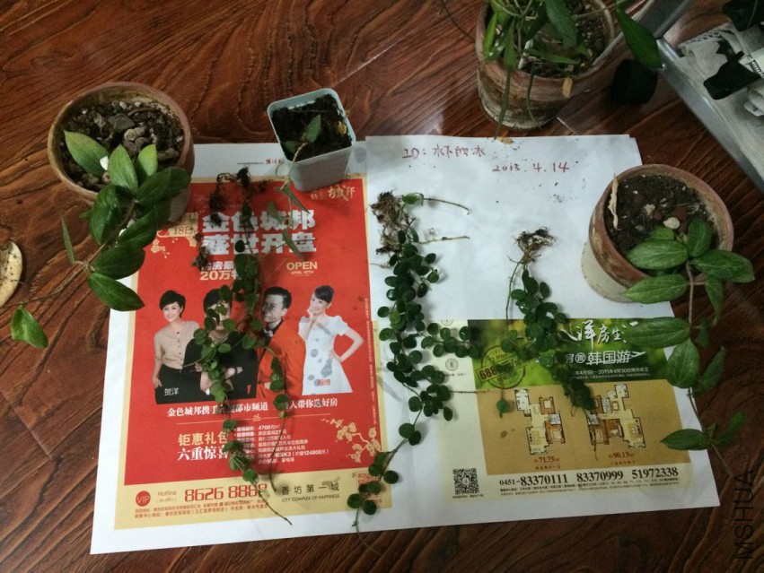 QQͼƬ20150414090805.jpg