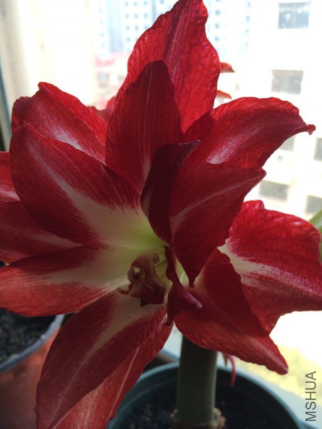 QQͼƬ20150414094621.jpg