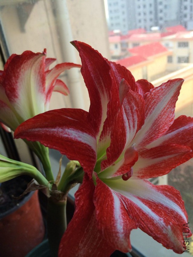QQͼƬ20150414094648.jpg