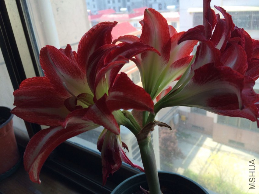 QQͼƬ20150414094652.jpg