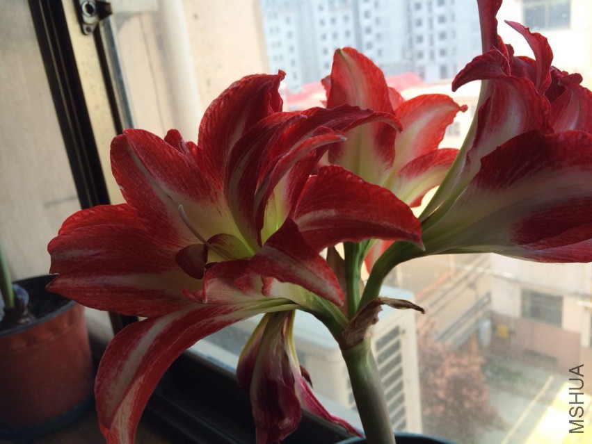 QQͼƬ20150414094706.jpg