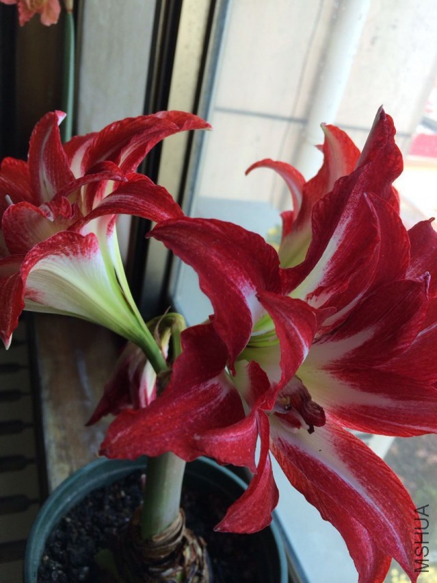 QQͼƬ20150414094718.jpg
