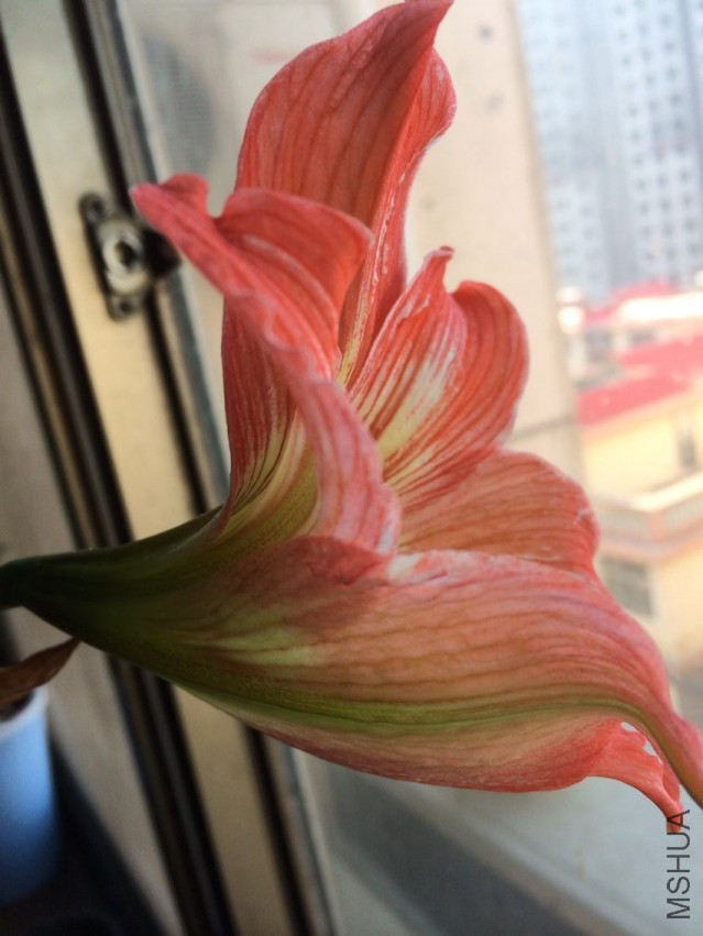 QQͼƬ20150414094702.jpg