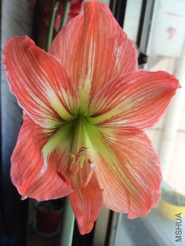 QQͼƬ20150414094710.jpg