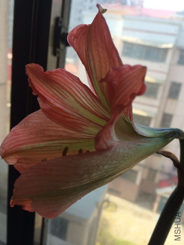QQͼƬ20150414094638.jpg