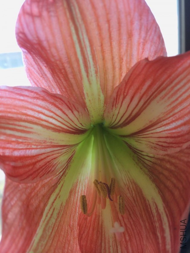 QQͼƬ20150414094657.jpg