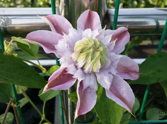 QQͼƬ20150413165754.jpg