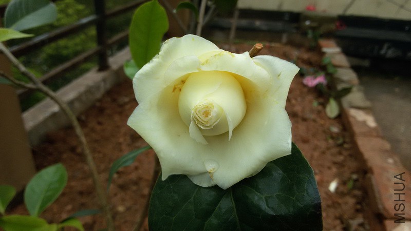 20150330_144940_������С.jpg