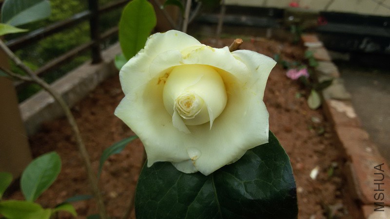 20150330_144938_������С.jpg