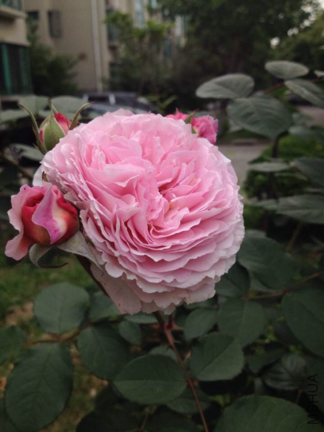 IMG_3943.JPG