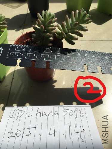 image.jpg