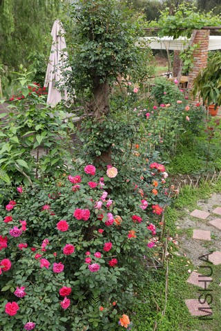 SZ4A9267.JPG