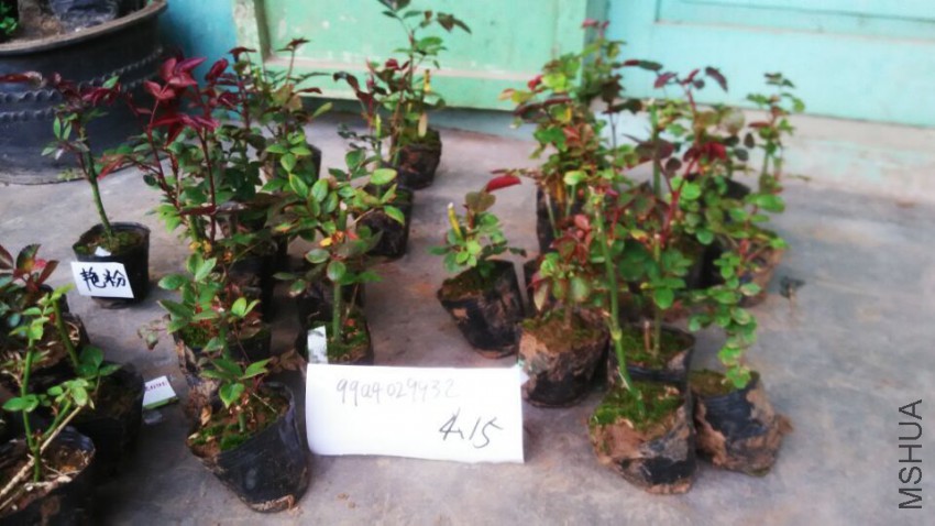 QQͼƬ20150415071041.jpg
