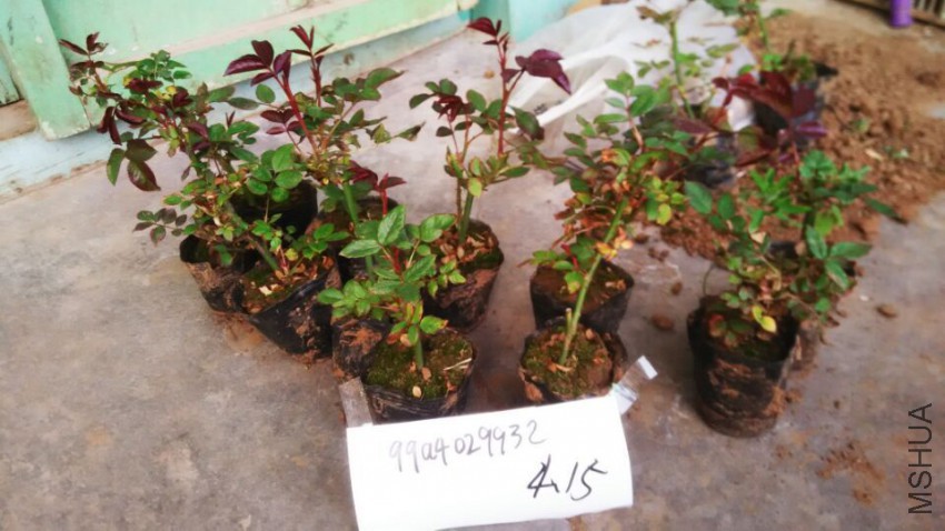 QQͼƬ20150415071032.jpg