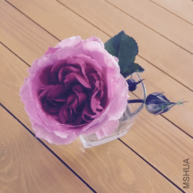 ��3��