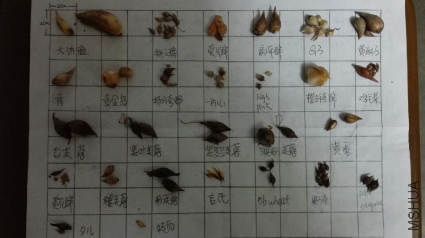 QQͼƬ20150414182501.jpg
