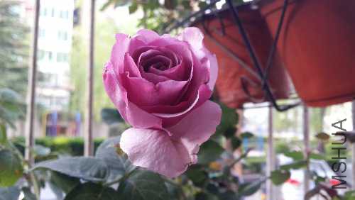 20150415_065833.jpg