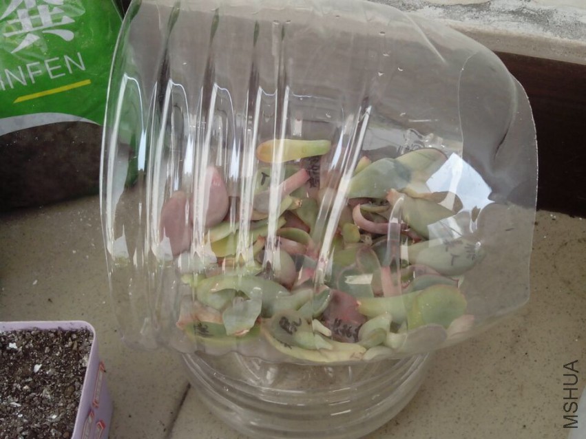QQͼƬ2015041512260313.jpg